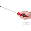 image:imageTEKTON Phillips and Slotted Screwdriver Set with Red Modular Organizers  8 Inch Shanks 10Piece 1  3 414 mm  DWZ90118